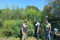 En lo que va del año ya decomisaron 1.210 plantas de marihuana en Tucumán