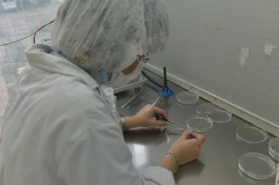 El gobierno de Javier Milei aprobó una levadura para mejorar la producción de bioetanol