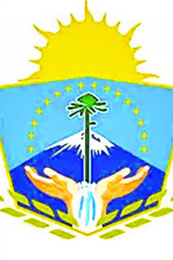 ¿Para qué sirven y qué representan los escudos?