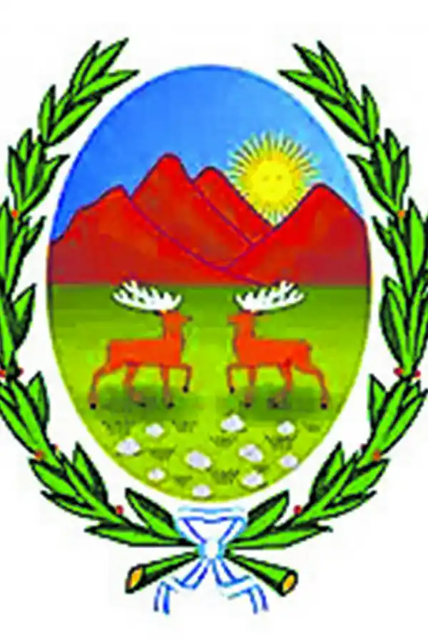 ¿Para qué sirven y qué representan los escudos?