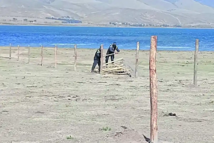 VIDEO. La Provincia se quedó con las tierras de un loteo en El Mollar