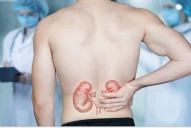 Los cinco enemigos silenciosos de los riñones: hábitos cotidianos que dañan tu salud