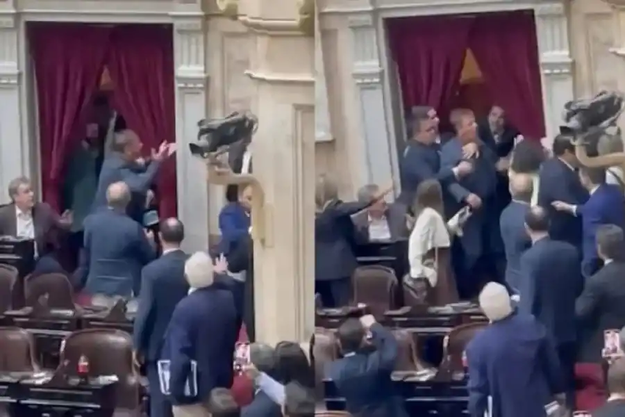 A LAS PIÑAS. Dos oficialistas, Zago y Almirón, se pelearon en el recinto. 