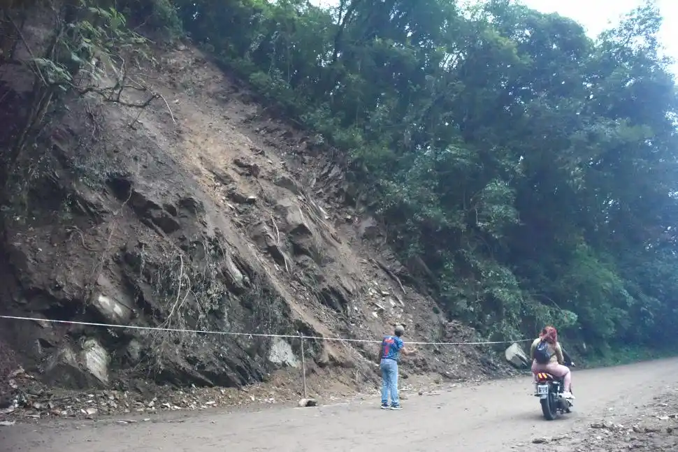 ROCAS. Pequeñas y más grandes piedras, caen por momentos de la ladera en la que un árbol se desprendió el pasado sábado por la madrugada. la gaceta / fotos analia jaramillo