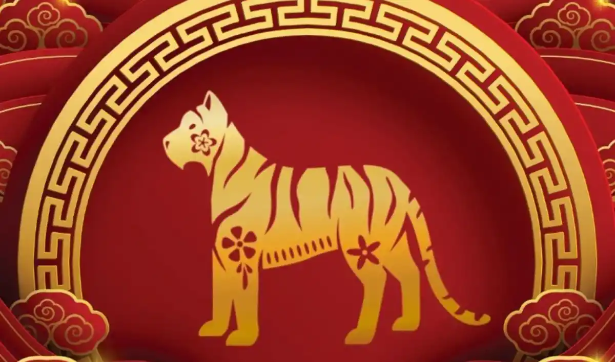 El Tigre deberá tener cuidaod con sus finanzas