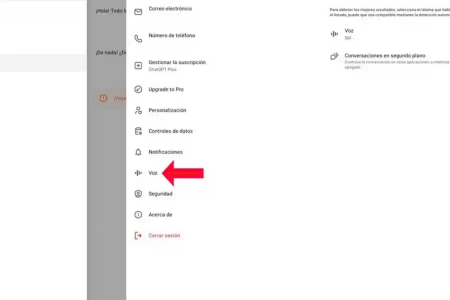 Así podés definir las conversaciones en segundo plano. Foto: Xataka