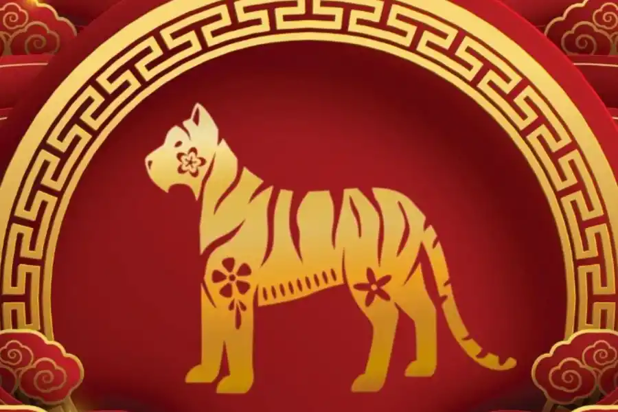 El Tigre deberá tener cuidaod con sus finanzas