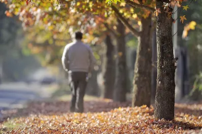 Equinoccio de otoño: el inesperado cambio en el inicio de la estación
