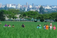 Con la pandemia pasamos de los gimnasios en casa al enamoramiento por el verde