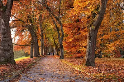 ¿Qué día exacto empieza el otoño en marzo de 2025?