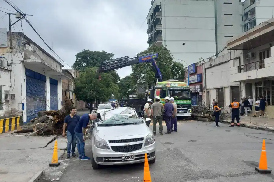 Equipos trabajan en el lugar. 