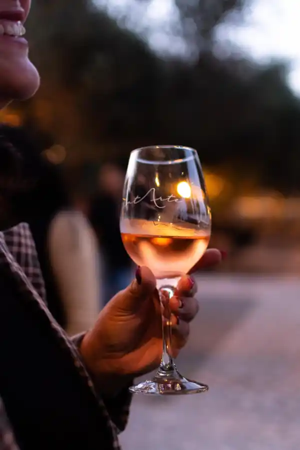 Llega CatArte: el nuevo evento enológico y artístico en Cafayate