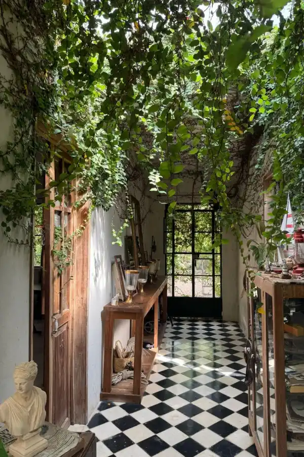 La magia de vivir en la selva