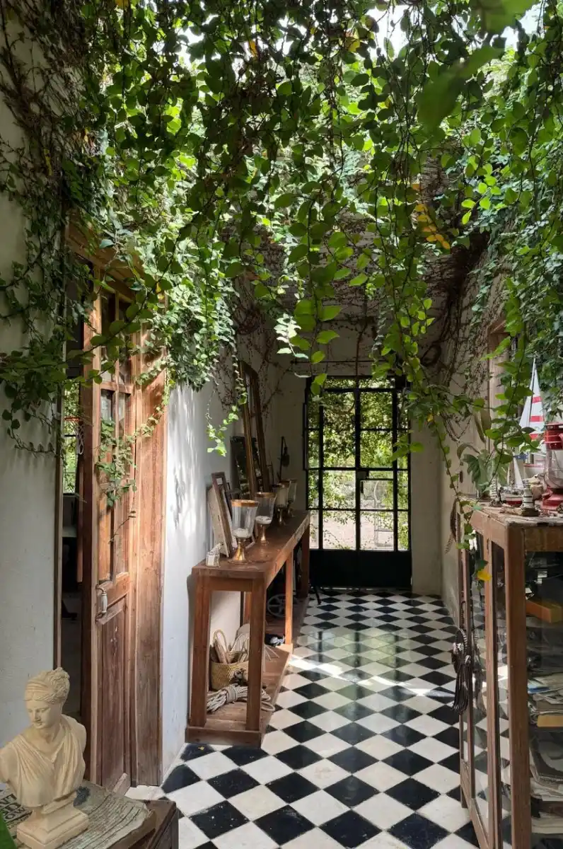 La magia de vivir en la selva