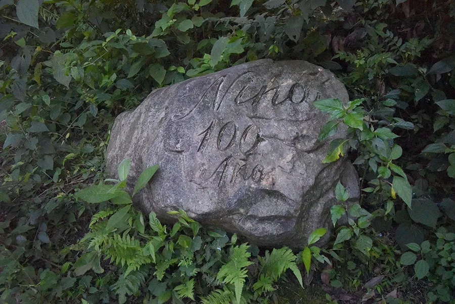 La joya escondida de los cerros de Tafí Viejo: el sendero de Nina