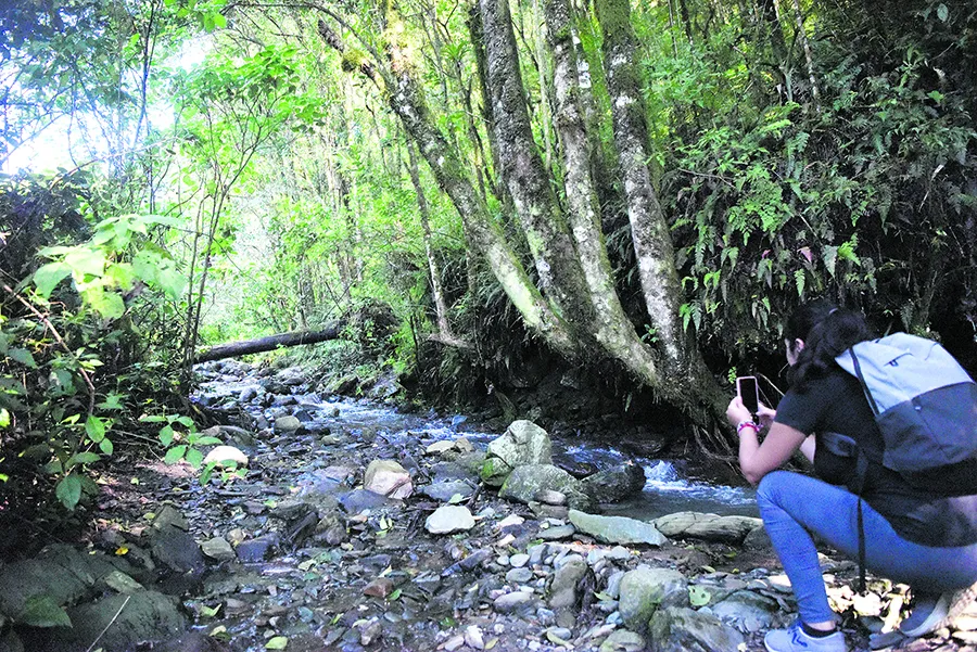 SENDERO. Para llegar hasta el monumento a Nina hay que recorrer un camino lleno de animales y vegetación.