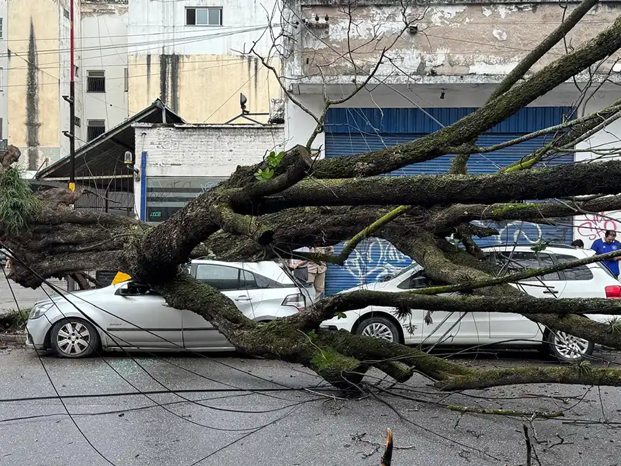 CABLES CAÍDOS. Se interrumpió la electricidad.