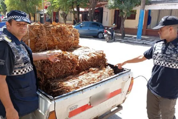 600x400_secuestran-300-kilos-tabaco-eran-transportados-ilegalmente-1076054-184459.webp