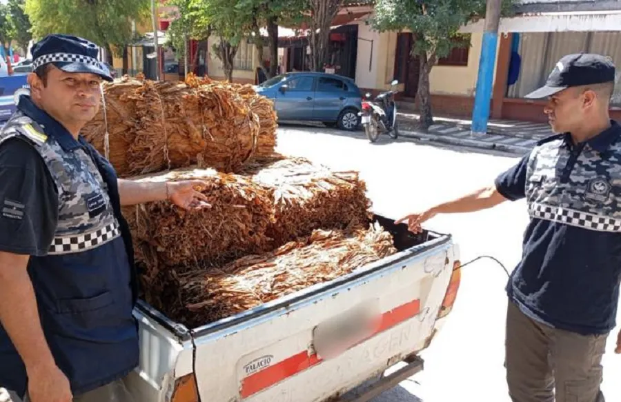 Secuestran 300 kilos de tabaco que eran transportados ilegalmente