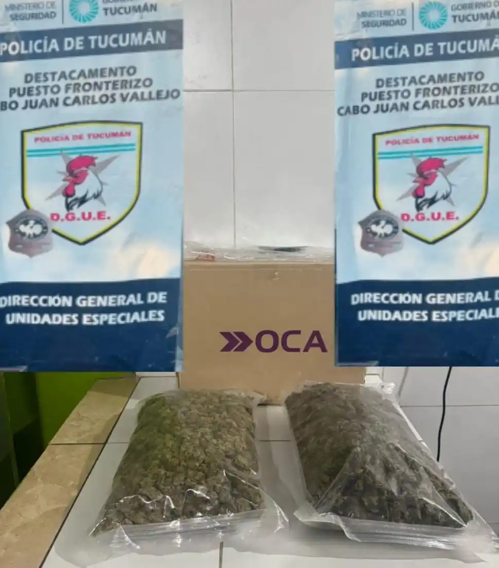 PREPARATIVO. Las flores de marihuana enviadas en encomienda fueron conservadas en envoltorios especiales.