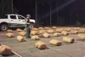 Secuestraron más de 1.200 kilos de marihuana en Misiones