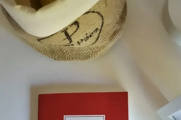 Decir el escándalo: Autobiografía cosmopolita de un escritor nacional