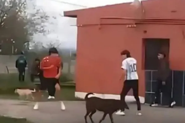 Video: un estudiante apuñaló a un compañero de 14 años en una pelea en la escuela de Acheral
