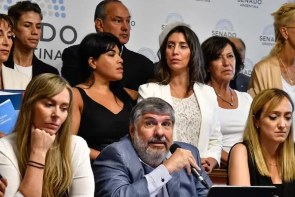 600x400_senadores-union-patria-arremetieron-contra-javier-milei-1076821-173942.webp