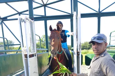 Diez potrillos debutan en el primer cotejo para la nueva generación