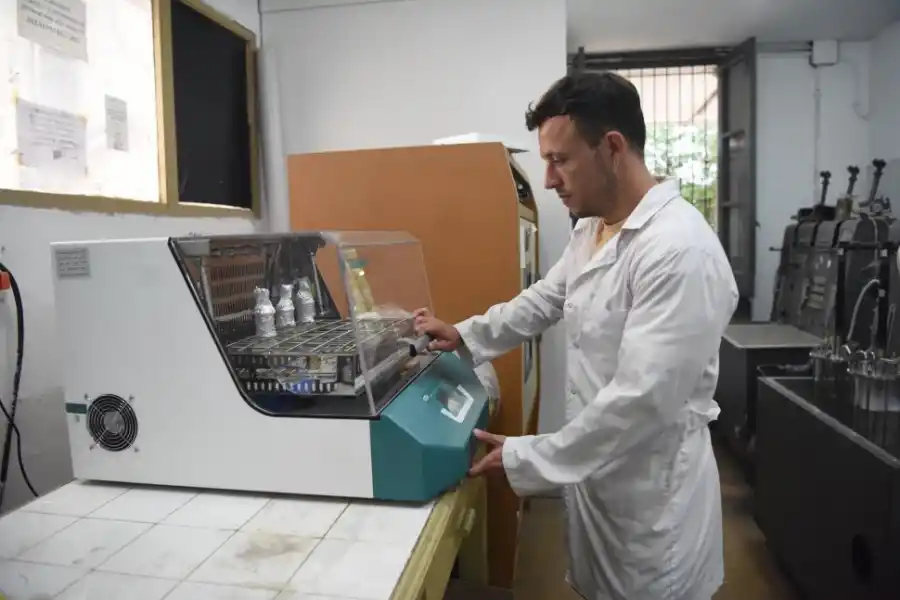 AGRO. Usan la ciencia para combatir enfermedades en los cultivos.