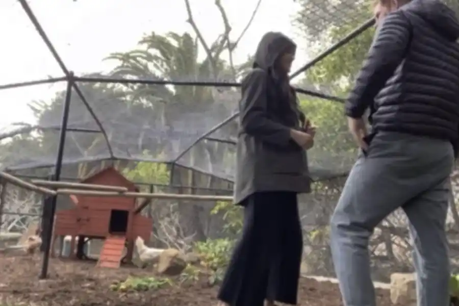 Harry y Meghan en su gallinero.