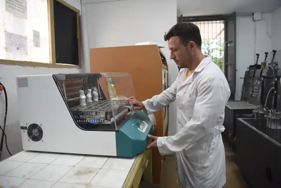 AGRO. Usan la ciencia para combatir enfermedades en los cultivos.