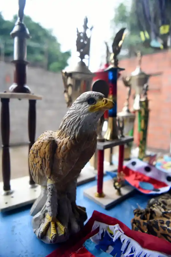 BRILLO DE CARNAVAL. Máscaras y estrellas son parte de la fiesta del Rey Momo.