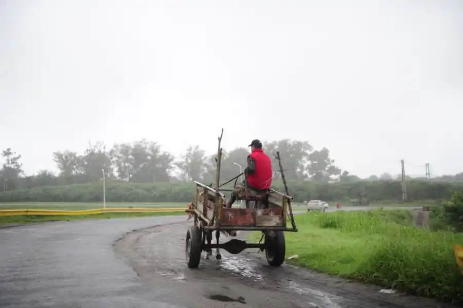PROHIBICIÓN. En Salta, ya no circulan los carros con tracción a sangre.