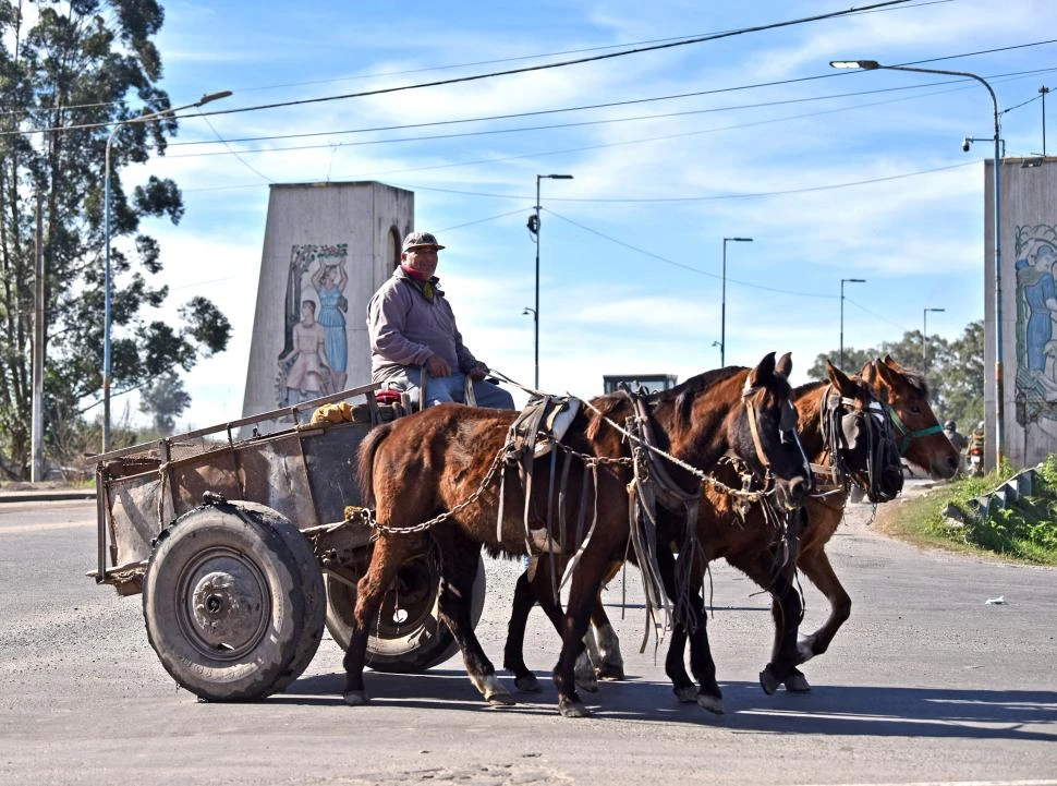 CABALLOS. El carro con tracción a sangre sigue siendo un medio de movilidad. Se le cuestiona el maltrato animal y la inseguridad vial que genera.  