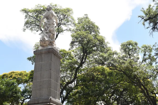 El tiempo en Tucumán: ¡A disfrutar del sol porque se vienen la