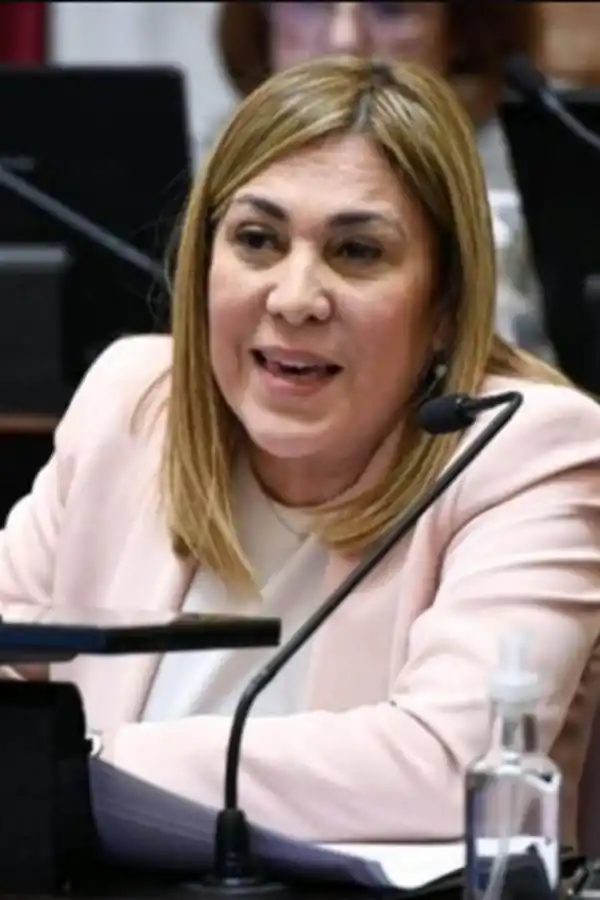 Beatriz Avila (Partido de la Justicia Social): en caso de que haya quórum, la senadora votaría a favor de los pliegos.