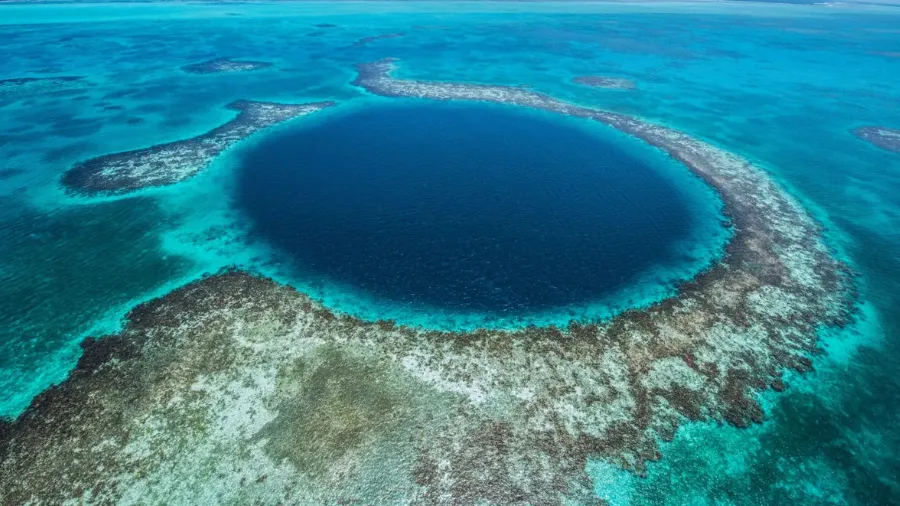 Los científicos extrajeron muestras de sedimentos del Gran Agujero Azul de Belice y revelaron un preocupante descubrimiento