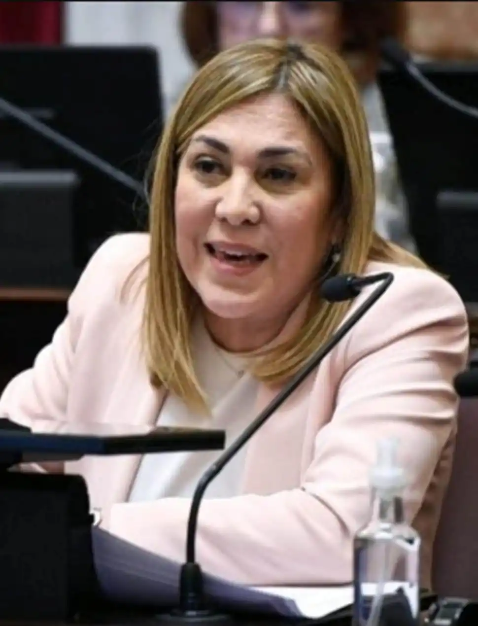 Beatriz Avila (Partido de la Justicia Social): en caso de que haya quórum, la senadora votaría a favor de los pliegos.