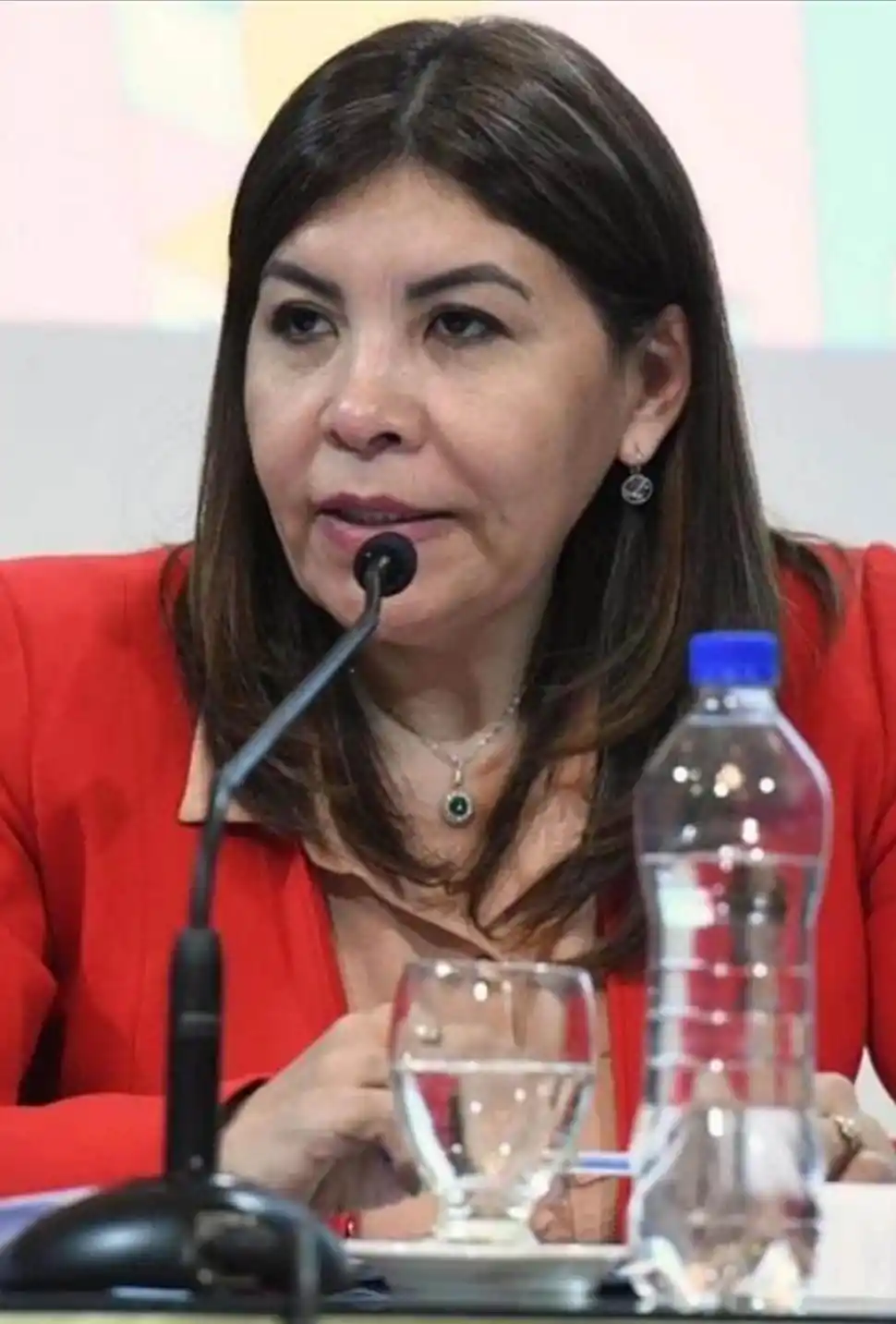 Sandra Mendoza (Unión por la Patria): la famaillense votaría a favor de Lijo y rechazaría el pliego de Manuel García Mansilla.