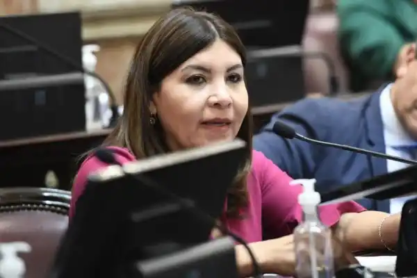 UNO Y UNO. Al igual que su compañero de banca, Sandra Mendoza voto a favor del pliego de Lijo y se sumó a los votos en contra de García-Mansilla.