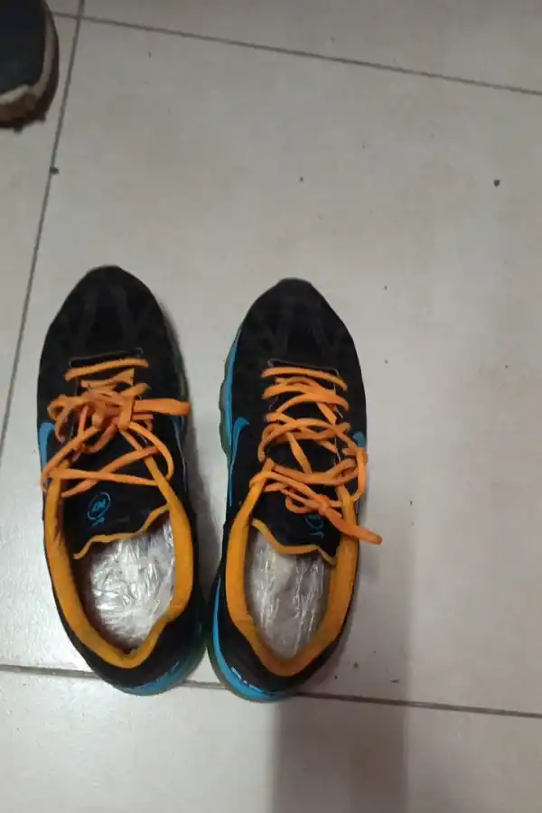 EL MÉTODO. Así eran las “plantillas” de cannabis.