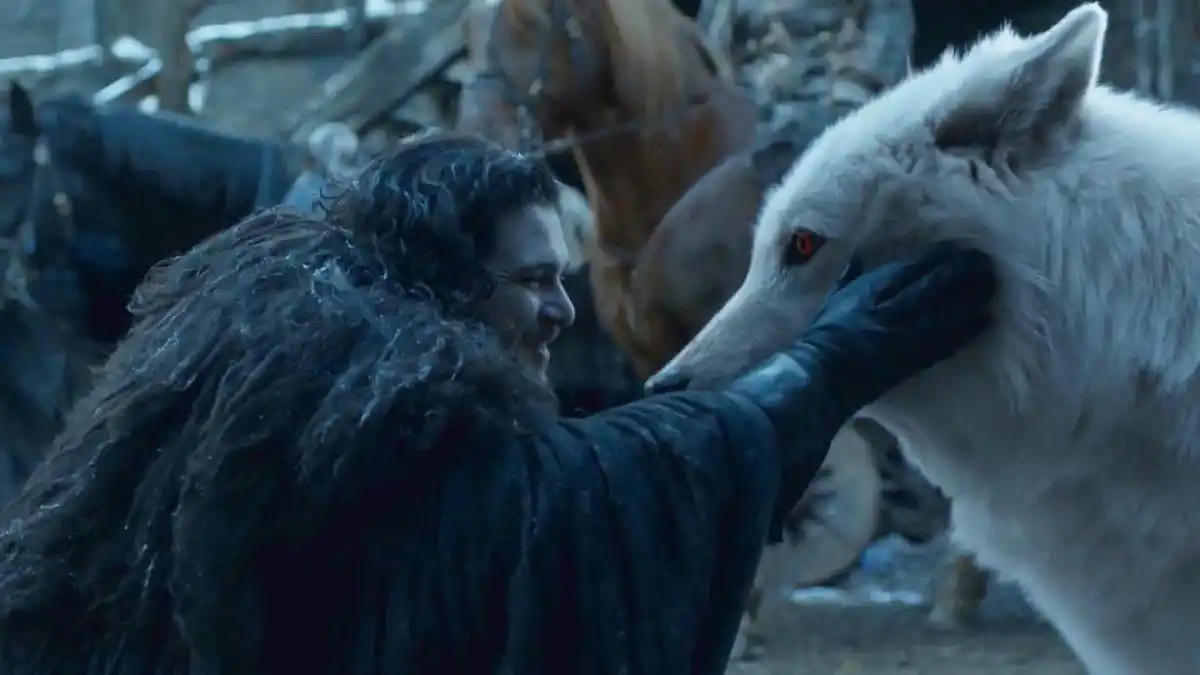 GAMES OF THRONES. John Snow y uno de los famosos lobos.