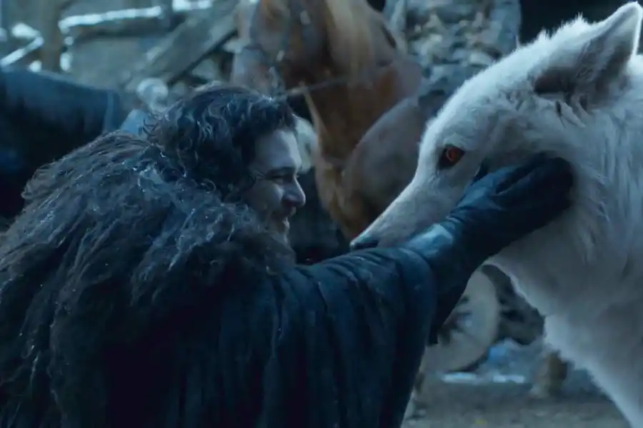 GAMES OF THRONES. John Snow y uno de los famosos lobos.