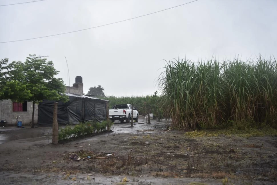 CULTIVOS. La frontera agrícola continúa avanzando sobre el predio cuando está cerca de ser declarado Monumento Histórico Nacional. 