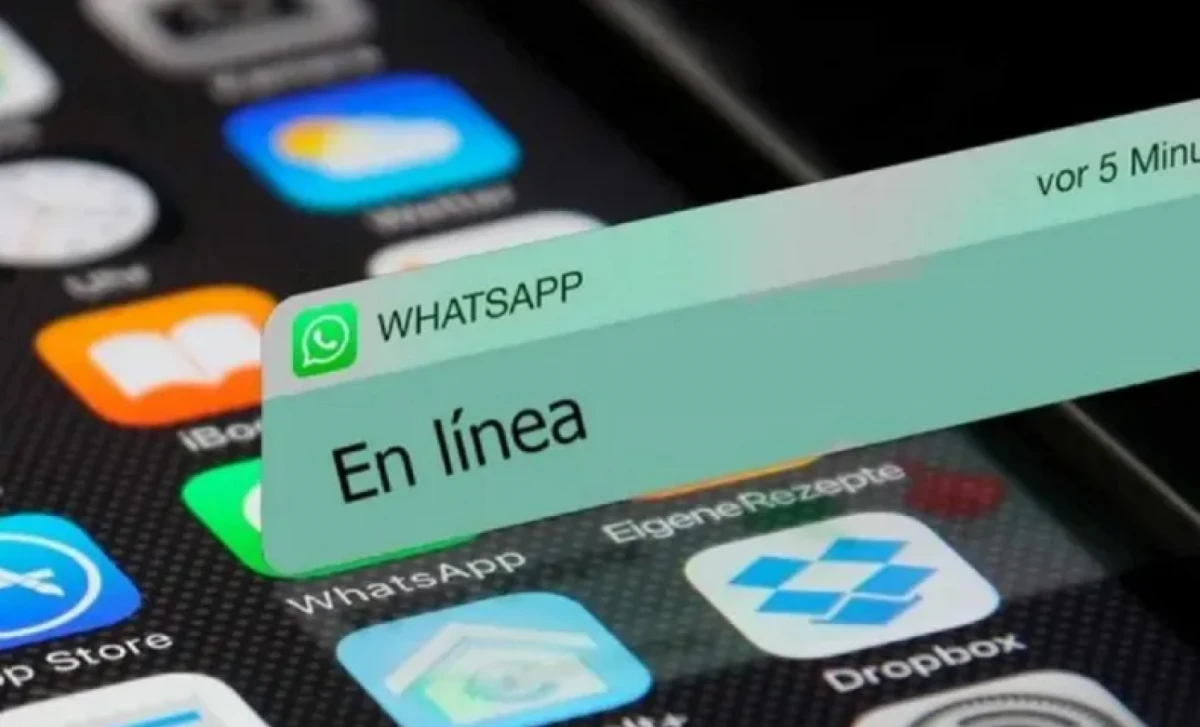 ¿Cómo quitar el estado de WhatsApp a un único contacto?