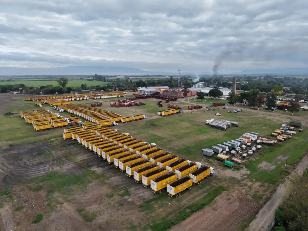 La zafra azucarera toma ritmo con las máquinas en los campos