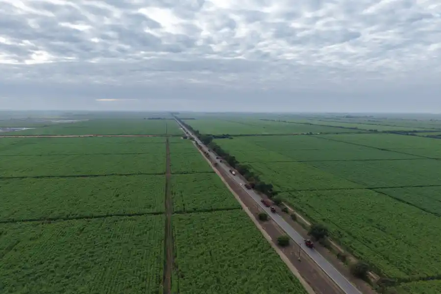 La zafra azucarera toma ritmo con las máquinas en los campos