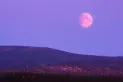 Luna llena rosa de abril: a qué hora y dónde verla hoy