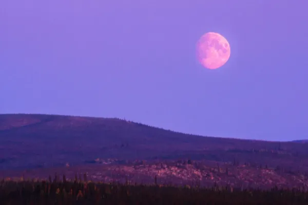Luna llena rosa de abril: a qué hora y dónde verla hoy